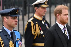 Kein Augenkontakt, keine Nähe: Harry und William wahren Distanz