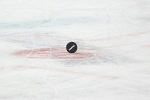 Corona: DEG-Trainer Hansson fehlt beim Training