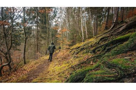 Thüringer Wald