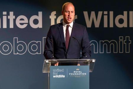 William in erster Rede als Prinz von Wales: Queen wird 