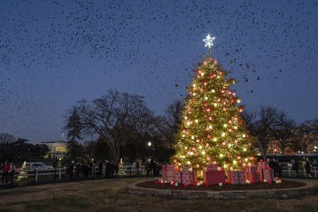 National Christmas Tree weißes Haus USA