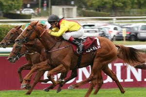 Galopp: Torquator Tasso beendet Karriere und wird Deckhengst