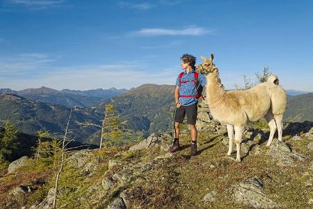 Katschberg mit Lama