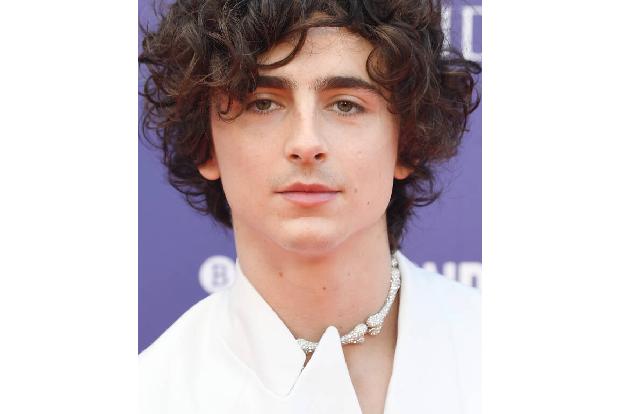 Wer ganz genau hinschaute, entdeckte an Timothées Hals eine Kette aus glitzernden Knochen, passend zum Thema seines Films.