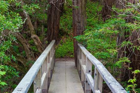 Big Sur State Park