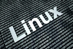 Netzwerk und Internet: zehn wichtige Befehle für Linux