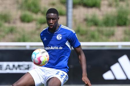 ABWEHR: Ibrahima Cissé (ablösefrei von KAA Gent) | Note: - - Kam bislang ebenfalls nur in der zweiten Mannschaft zum Einsatz. Erzielte in sechs Partien als Innenverteidiger bereits zwei Tore. Auch ein Perspektivspieler für Schalke.