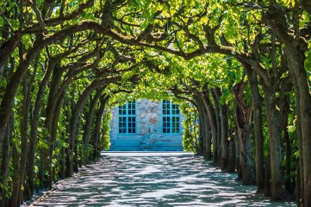 Alte Schloss Eremitage