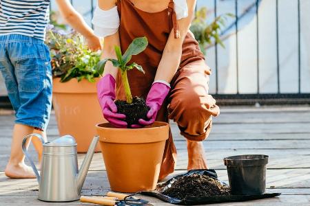 Pflanzen und Möbel schützen: Den Balkon herbst- und winterfest machen Pflanzen und Möbel schützen: Den Balkon herbst- und winterfest machen