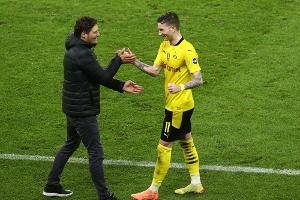 Reus vor Comeback: Terzic für Samstag "sehr zuversichtlich"