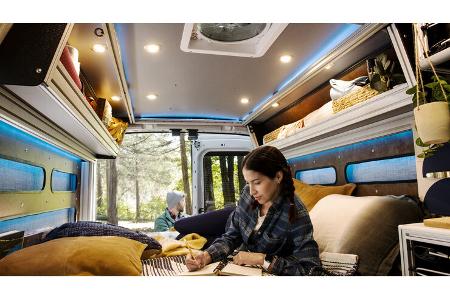Ford Transit Trail Kastenwagen