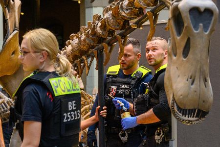 Klebeaktion im Naturkundemuseum