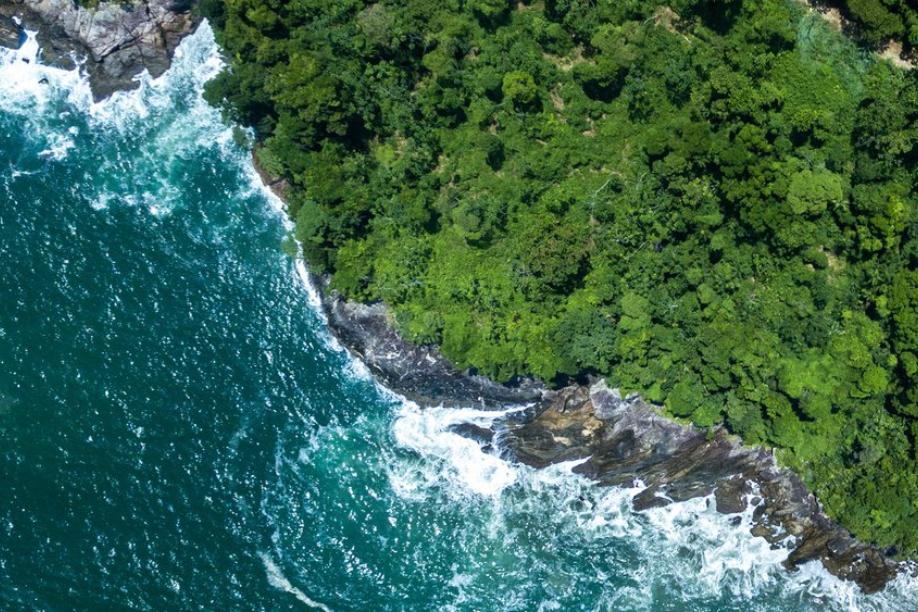 Queimada Grande: Das Paradies mit Biss vor Brasiliens Küste