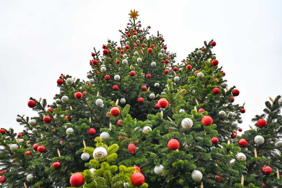 Der frühe Weihnachtsbaum liegt im Trend.