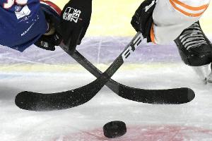 DEL: Kangasalusta neuer Trainer in Bietigheim