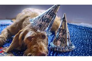 Stellplatz-Tipps für ruhiges Silvester im Wohnmobil