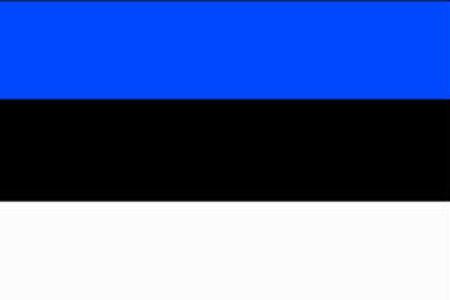 Flagge Estland