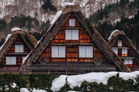 Japan im Winter erleben: Zwischen Eis, Onsen, Tempeln und Schneeaffen
