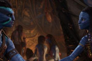 Zoe Saldana und Sam Worthington: Das steckt hinter "Avatar 1,5"
