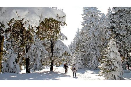 Mobil-Tour: Harz