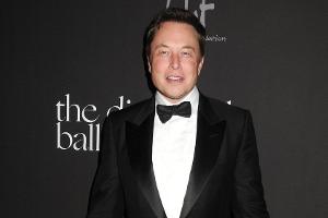 Twitter-Umfrage: Elon Musk lässt über seinen Rücktritt abstimmen