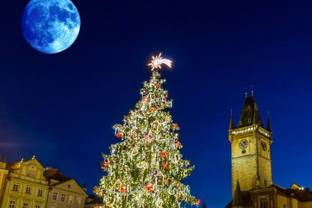 Das sind die schönsten Weihnachtsbäume der Welt