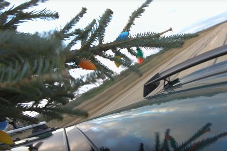 Christmas Tree Run 2022