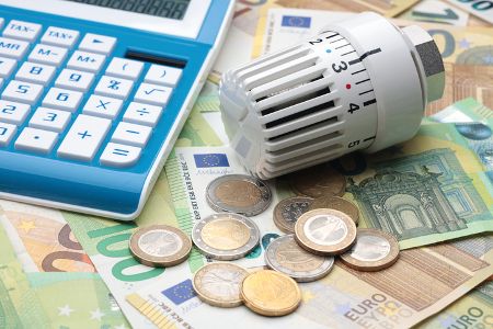 Platz 6: sparsamer sein (gaben 40% der Befragten an)