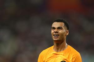 "Brillanter" Gakpo vor Liverpool-Debüt - van Dijk verletzt
