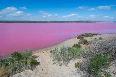 Hutt Lagoon