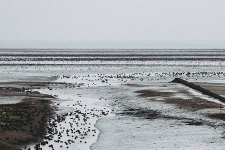 Langeoog