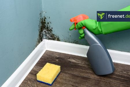 Schimmelspray Kaufberatung Schimmelspray Kaufberatung