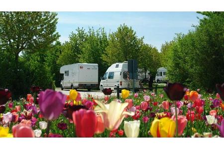Stellplatz Bodensee