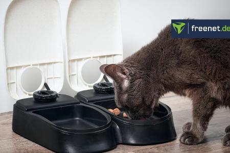 Futterspender