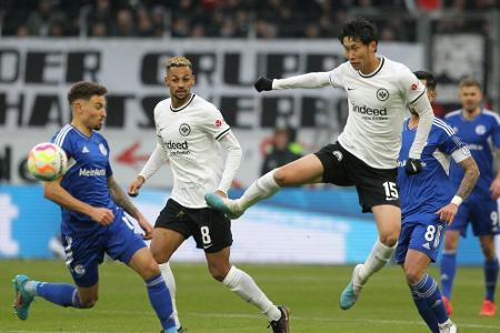 Schalke verliert auch beim Bayern-Jäger Frankfurt Schalke verliert auch beim Bayern-Jäger Frankfurt