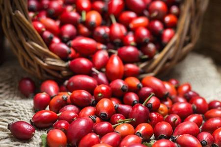 Heimisches Superfood: Vitamin-C-Bomben aus der Region