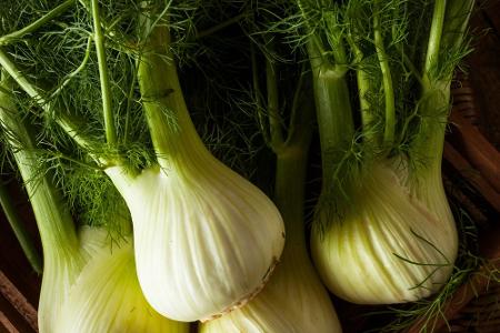 Fenchel