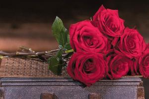 "Der Bachelor" 2023: Dieser Single-Mann verteilt die Rosen