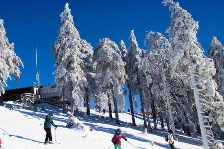 Platz 2, Wurmberg - Braunlage