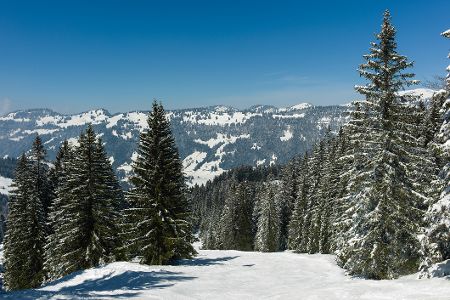 Balderschwang