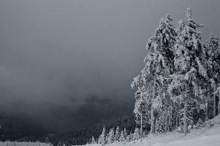Wurmberg