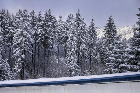Skeleton: Kreher fährt ohne Weltcupsieg zum WM-Titel Skeleton: Kreher fährt ohne Weltcupsieg zum WM-Titel