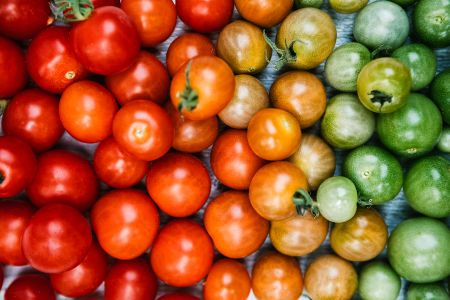 Tomaten