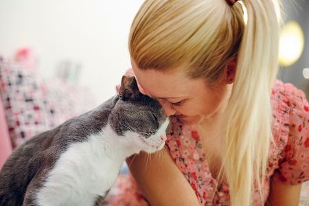 9 Anzeichen: Fühlt Ihre Katze sich wohl?
