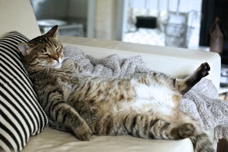 Schlafposition