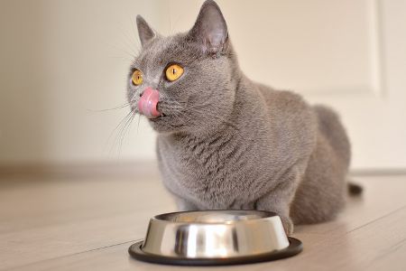 Appetit