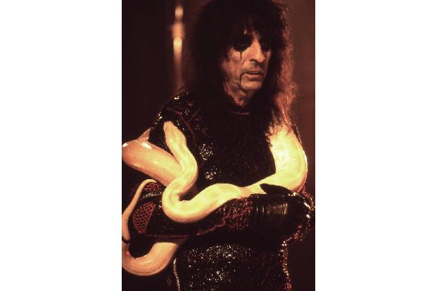 Lange Zeit sah man Alice Cooper nicht ohne seine Schlange. Sein erstes Reptil Julius Squeezer starb jedoch auf groteske Art: Eine Ratte, die ihm als Futter verabreicht wurde, setzte sich zur Wehr und verpasste Julius Squeezer einen tödlichen Biss.
