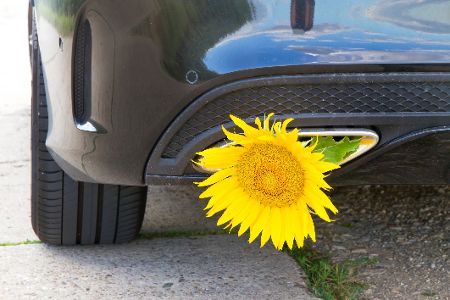 So können Sie als Autofahrer Lärm und Abgase reduzieren So können Sie als Autofahrer Lärm und Abgase reduzieren