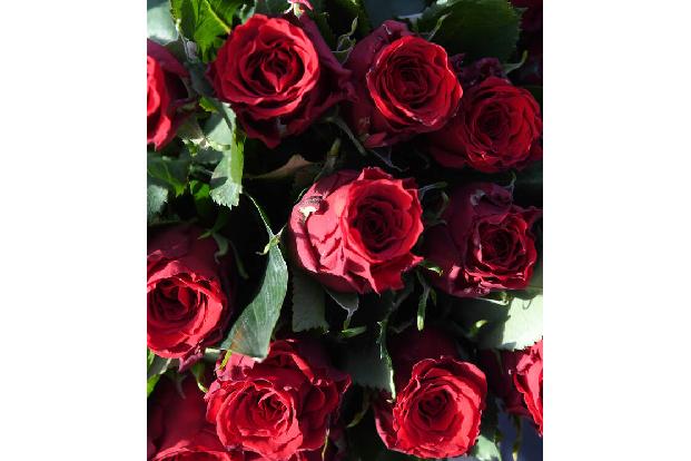 Fazit: Auch die verrücktesten und teuersten Geschenke garantieren kein dauerhaftes Glück. Dann doch lieber ein Rosenstrauß — wenn Justin Bieber sie nicht schon alle aufgekauft hat!
