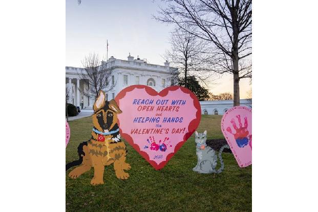 First Lady Jill Biden bemühte Cartoons ihrer Haustiere Commander (Hund) und Willow (Katze) und zitierte aus dem 1. Korintherbrief: 